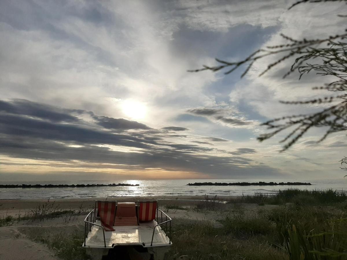 Bio Agriturismo Mare In Campagna Campofilone Екстер'єр фото
