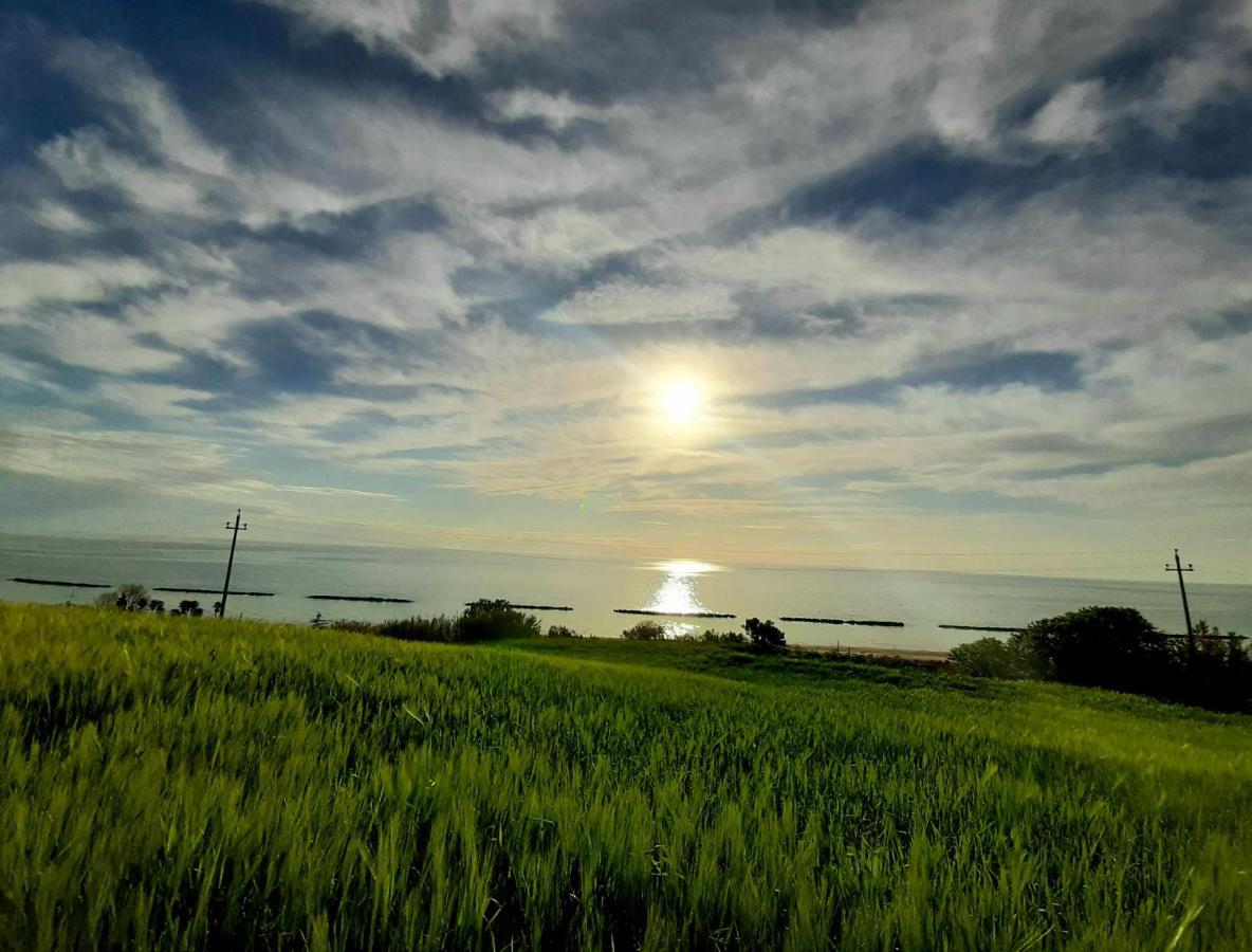 Bio Agriturismo Mare In Campagna Campofilone Екстер'єр фото