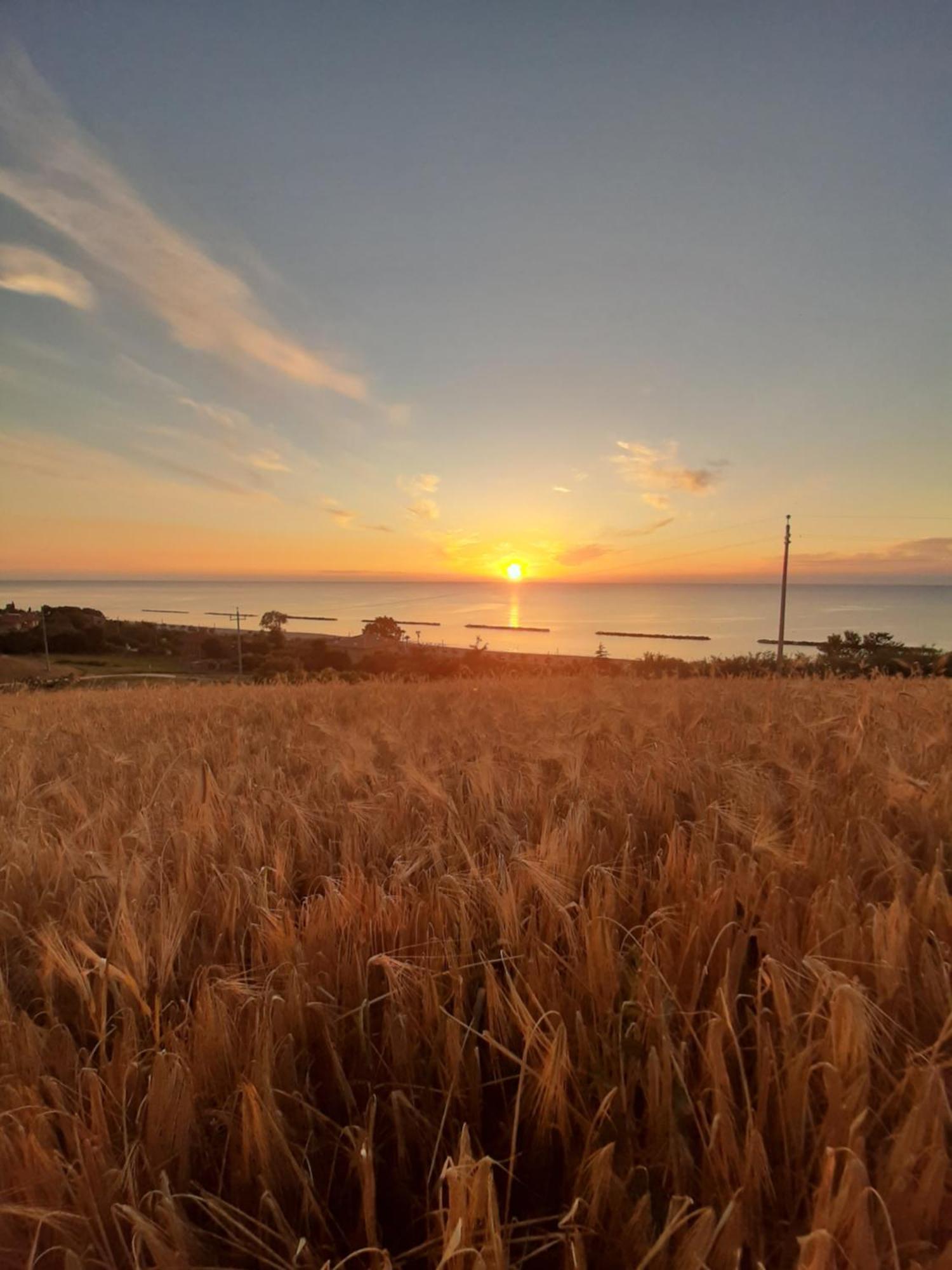 Bio Agriturismo Mare In Campagna Campofilone Екстер'єр фото