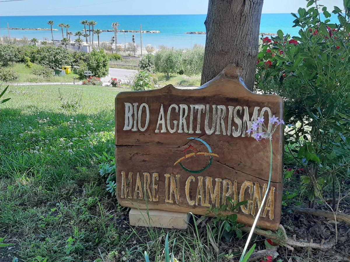 Bio Agriturismo Mare In Campagna Campofilone Екстер'єр фото