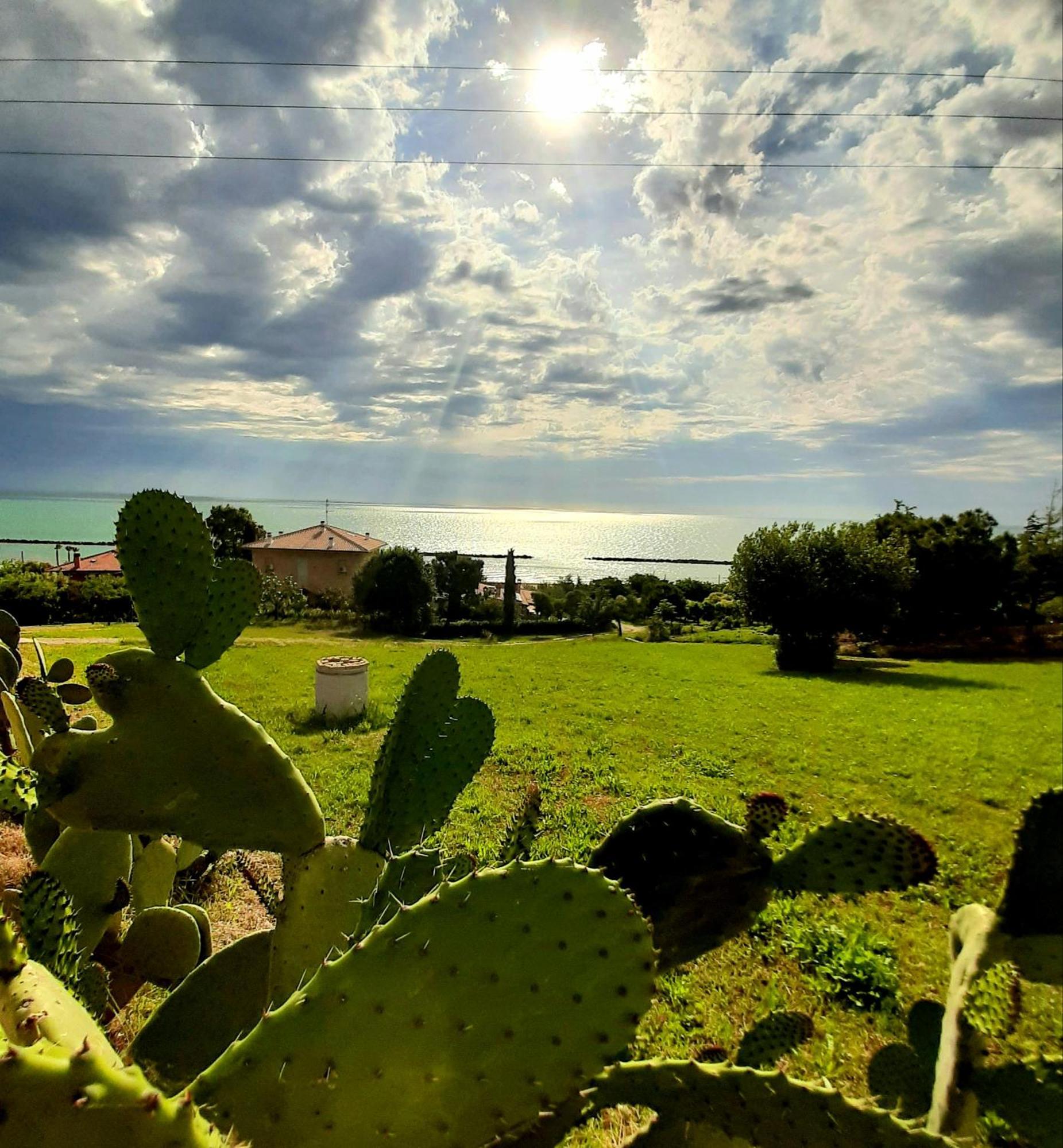 Bio Agriturismo Mare In Campagna Campofilone Екстер'єр фото