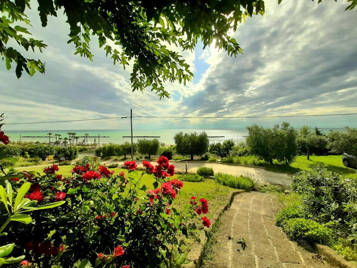 Bio Agriturismo Mare In Campagna Campofilone Екстер'єр фото
