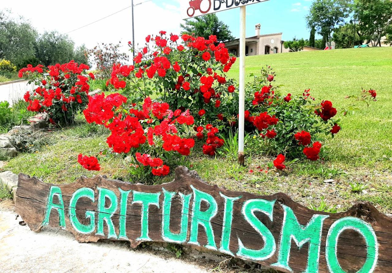Bio Agriturismo Mare In Campagna Campofilone Екстер'єр фото