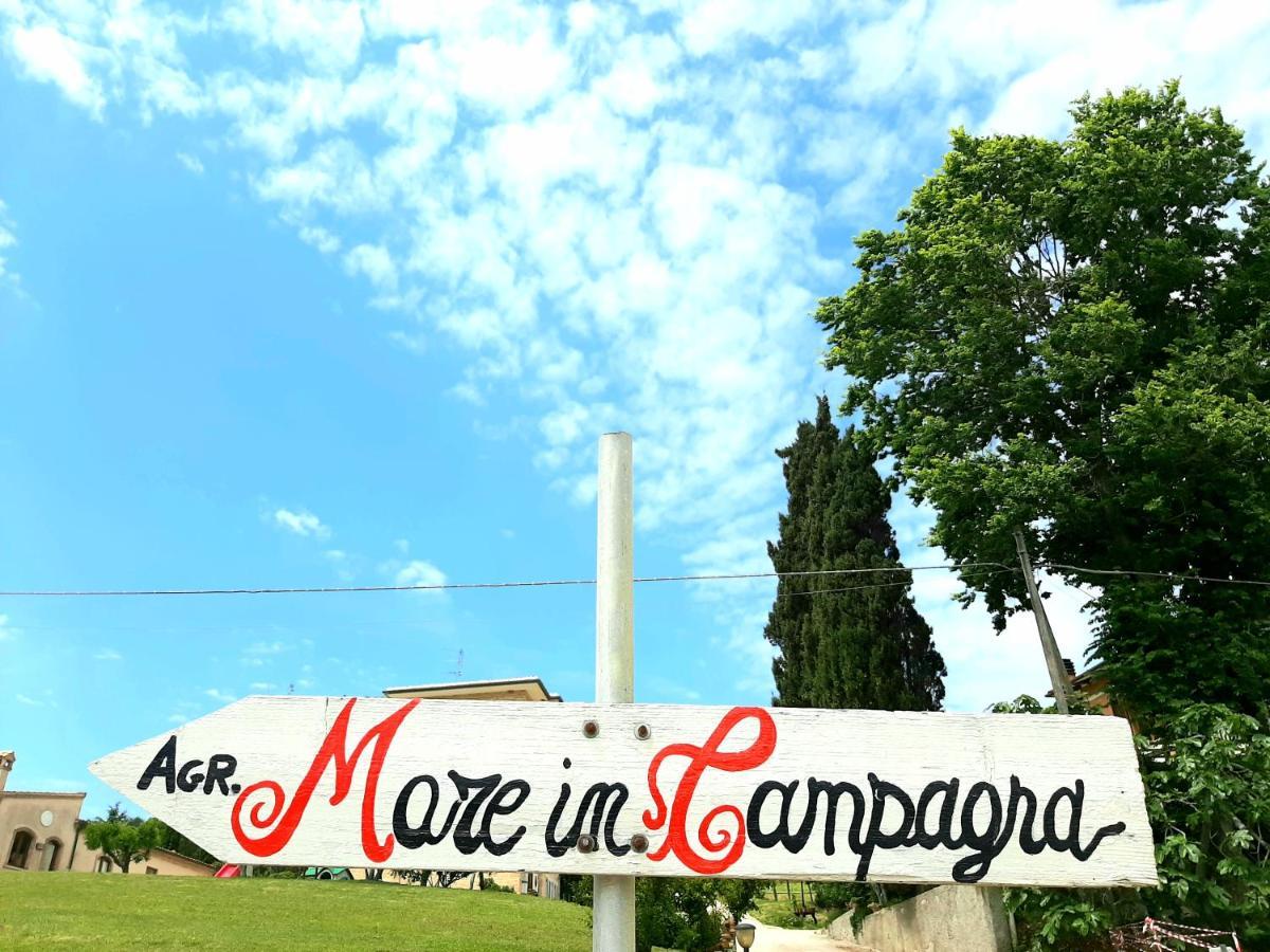 Bio Agriturismo Mare In Campagna Campofilone Екстер'єр фото