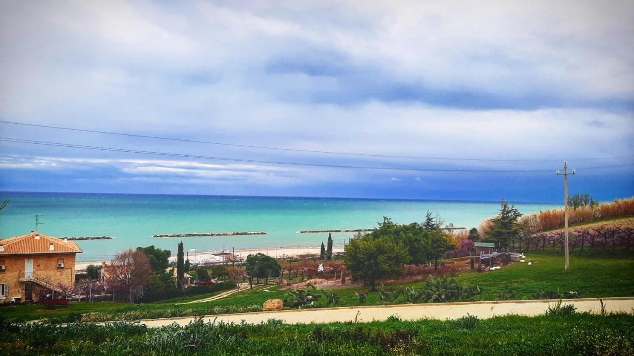 Bio Agriturismo Mare In Campagna Campofilone Екстер'єр фото