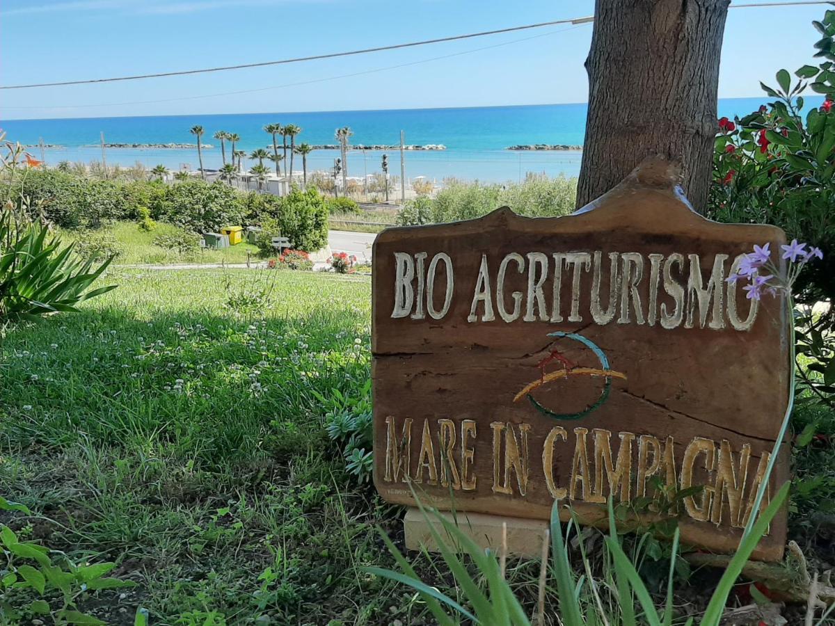 Bio Agriturismo Mare In Campagna Campofilone Екстер'єр фото