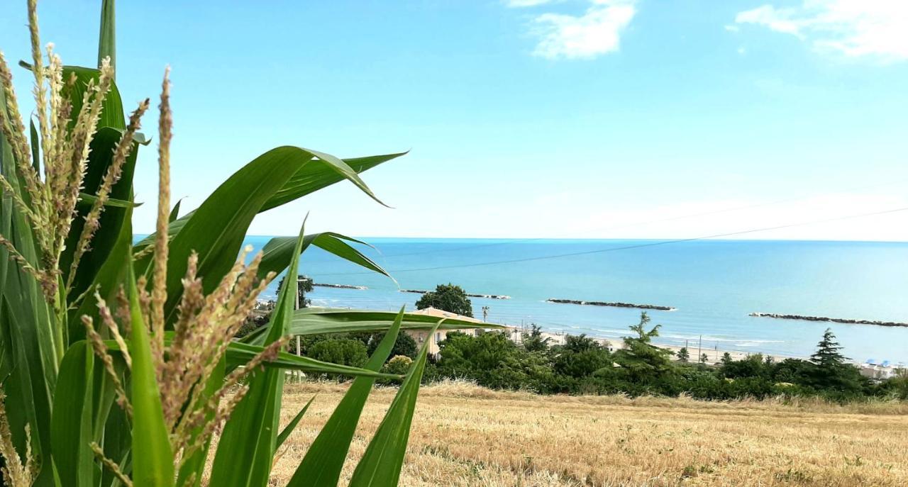 Bio Agriturismo Mare In Campagna Campofilone Екстер'єр фото