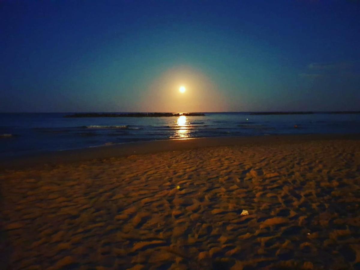 Bio Agriturismo Mare In Campagna Campofilone Екстер'єр фото